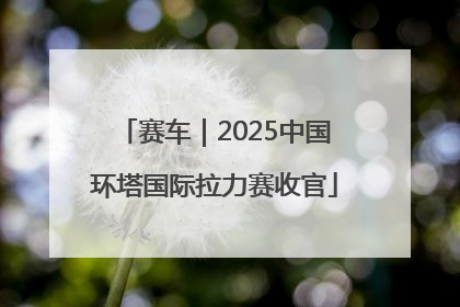 赛车｜2025中国环塔国际拉力赛收官
